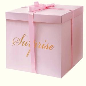Pinup Vintage Surprise Box: Pride Power XL